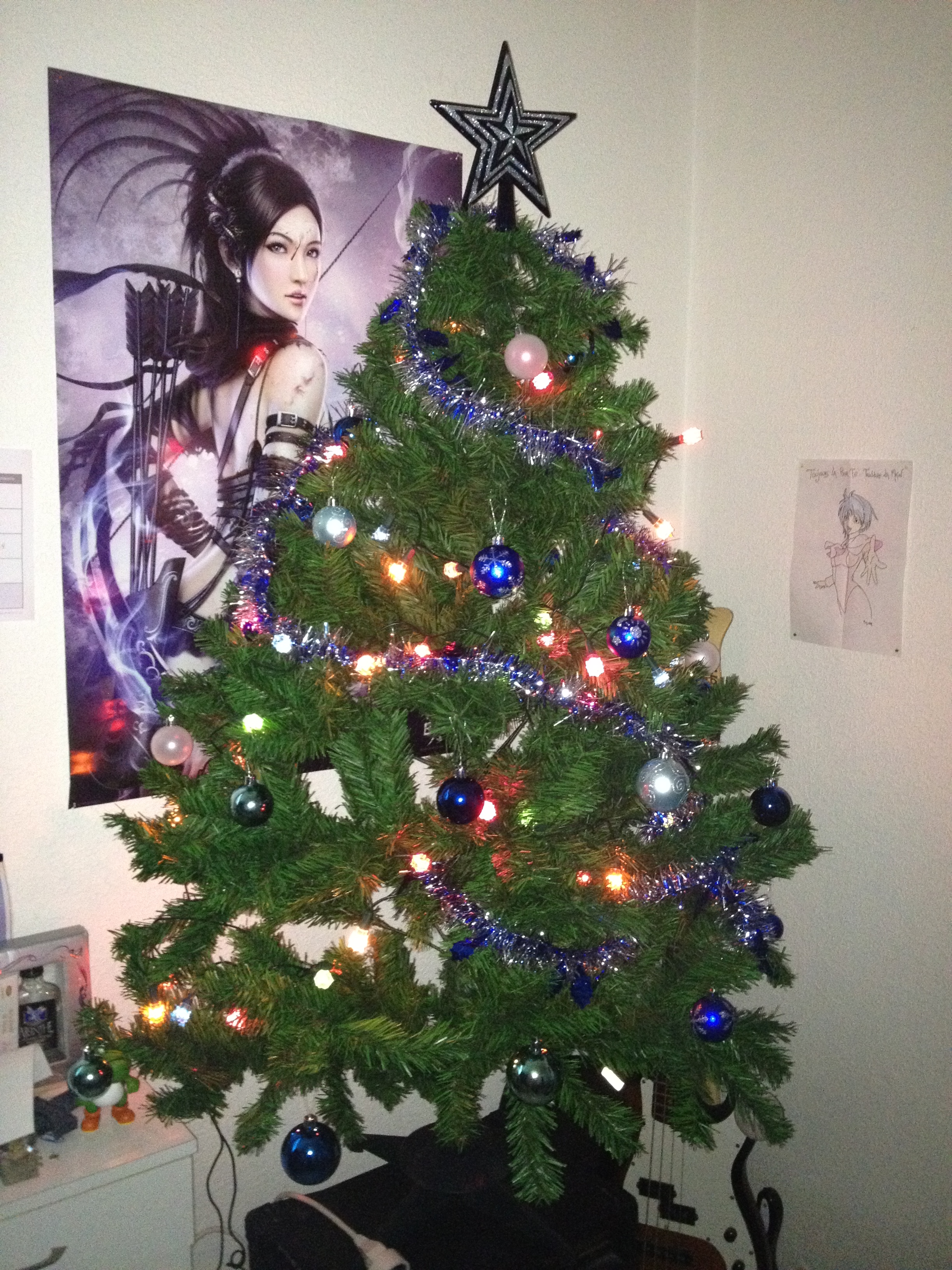sapin sapin